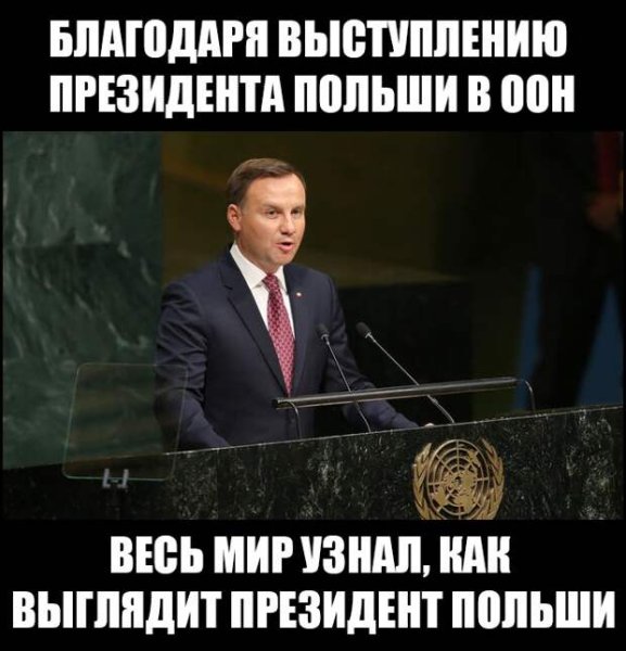 Поляки демотиваторы