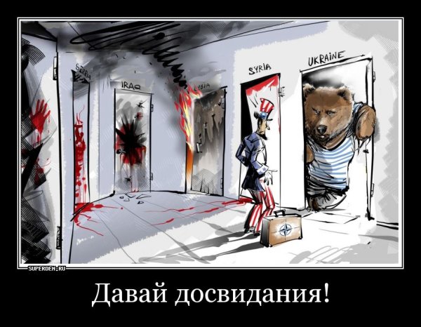 Поляки демотиваторы