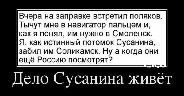 Поляки демотиваторы