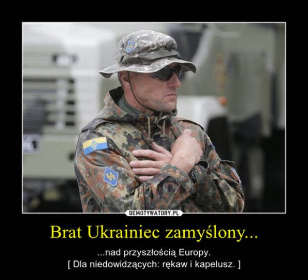 Мемы про нацистов и Польшу