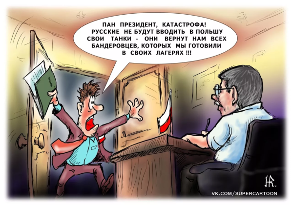 Поляки демотиваторы