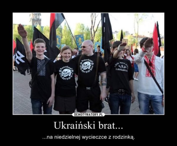 Поляки демотиваторы