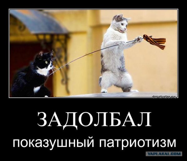 Патриотические демотиваторы