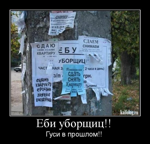 Демотиваторы приколы