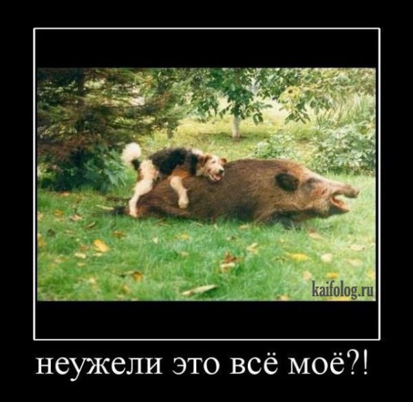Атеизм демотиваторы