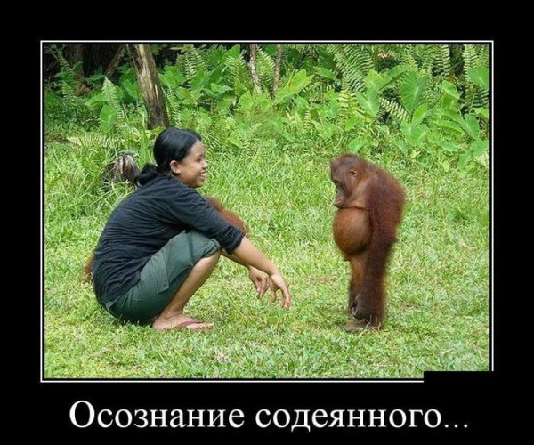 Мадам я старый солдат демотиватор