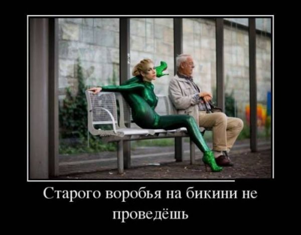 В активном поиске фото прикол