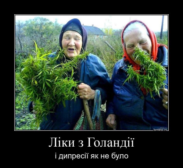 Конопля приколы