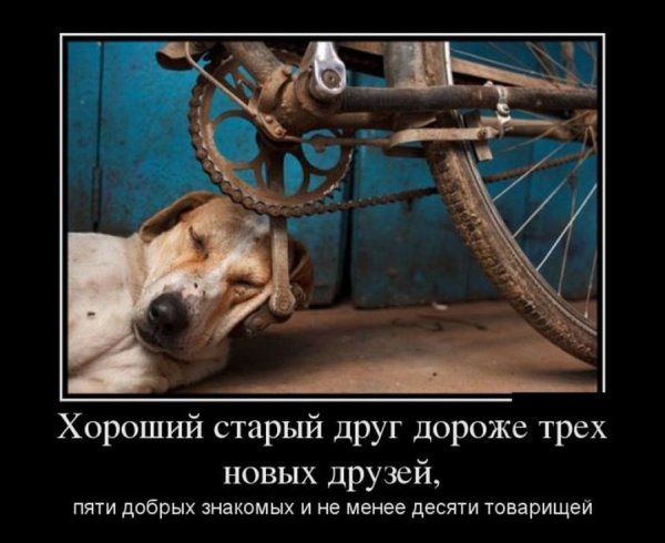 Шутки про жалость