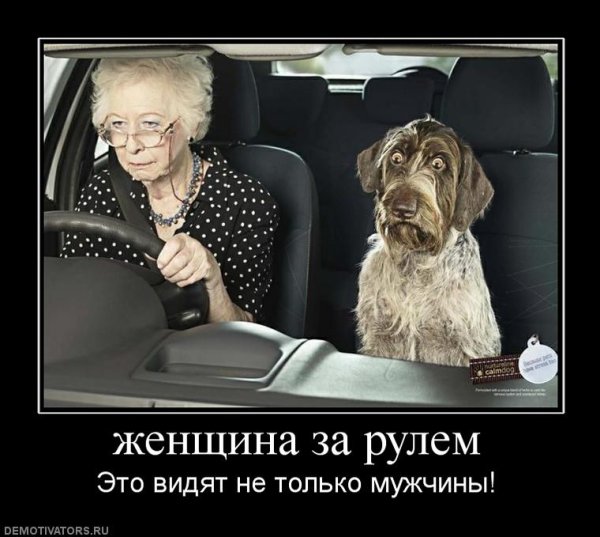 Женщина за рулём приколы