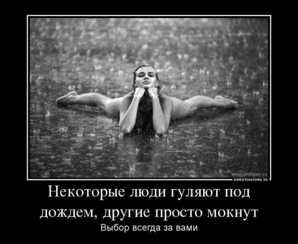 Шутки про дождь