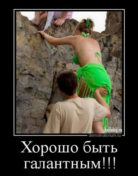 Кайфолог демотиваторы Веселые