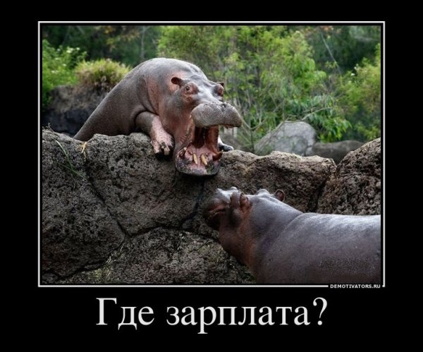 Приколы про зарплату