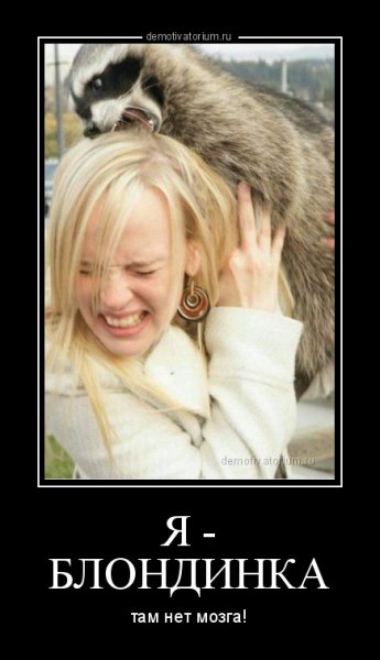 Блондинка юмор