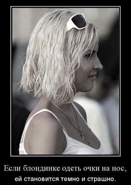 Приколы про блондинок