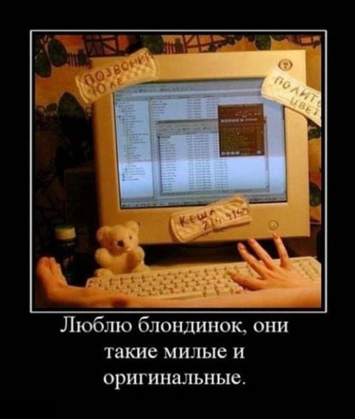 Демотиваторы про блондинок смешные