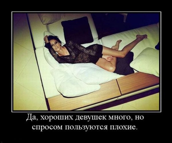 Демотиваторы про дошик