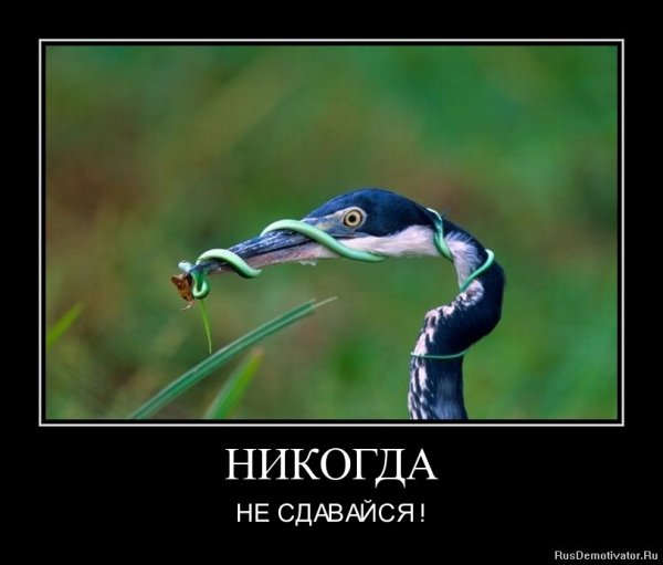 Упорство мотиватор