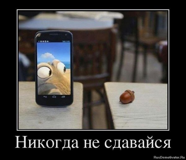 Никогда не сдавайся демотиватор