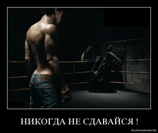 Никогда не сдавайся!