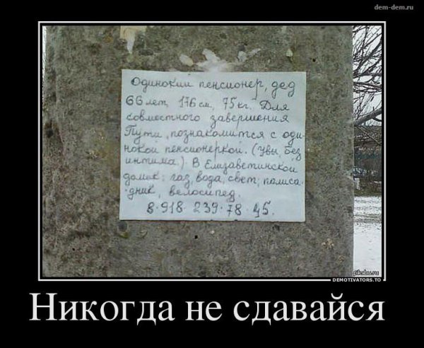 Никогда не сдавайся юмор