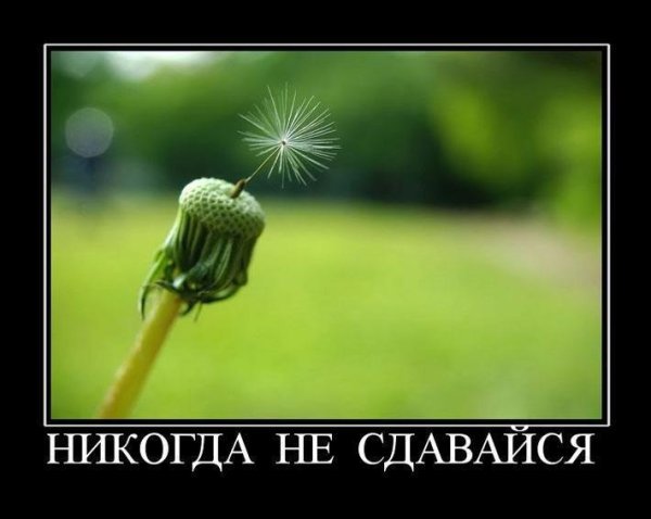Мотиватор и демотиватор