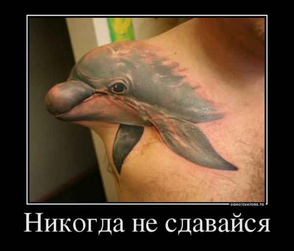 Никогда не сдавайся не Татуировка