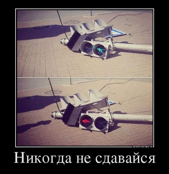 Никогда не сдавайся демотиватор