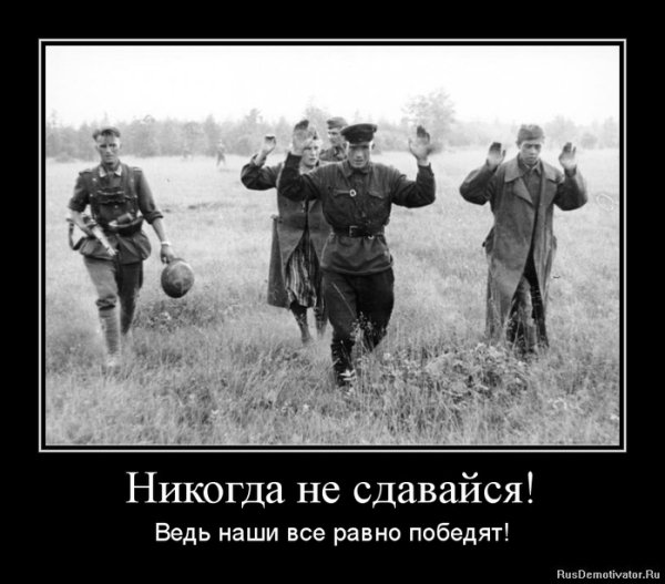 Не сдавайся сдаются