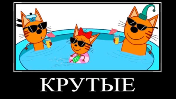 Три кота крутые бутерброды
