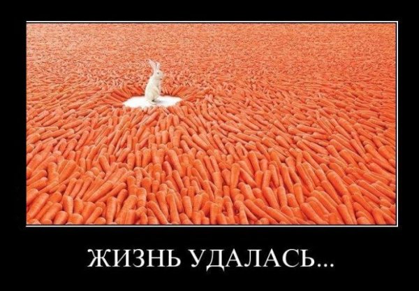 Демотиваторы про желания