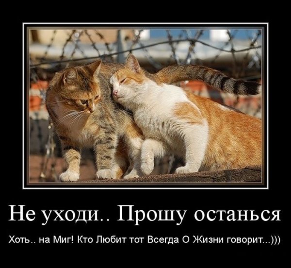 Смешная любовь