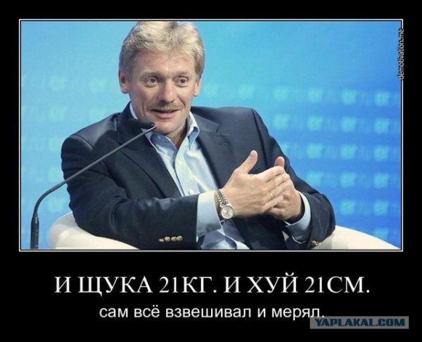 Дмитрий Песков мемы