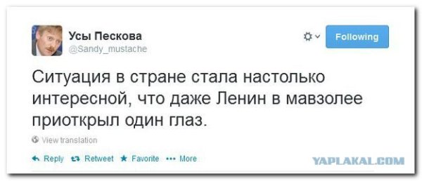 Трусы Пескова