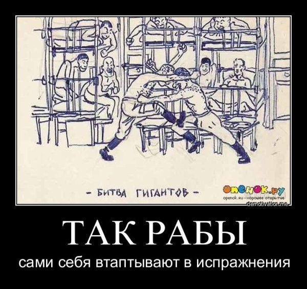 Бабораб картинки