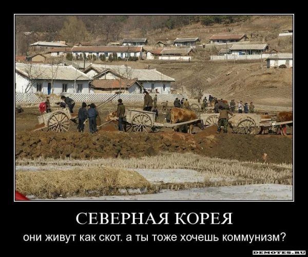 Северная и Южная Корея демотиваторы
