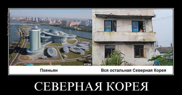 Северная Корея демотиваторы