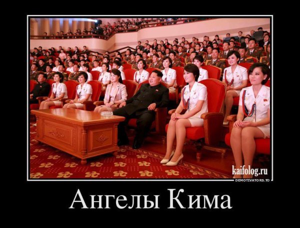 Северная Корея юмор