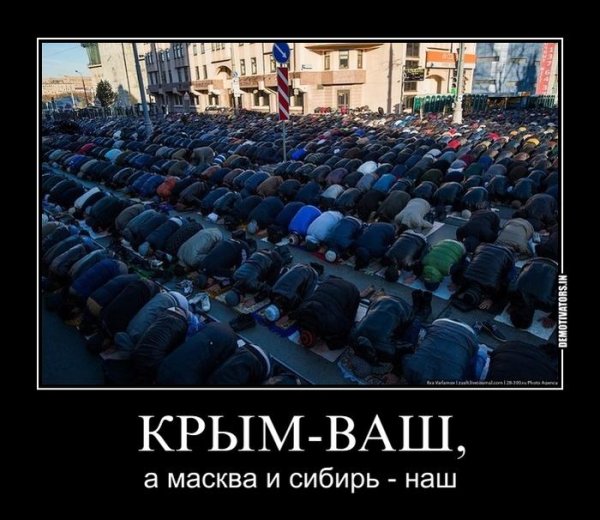 Демотиваторы про Америку и Украину