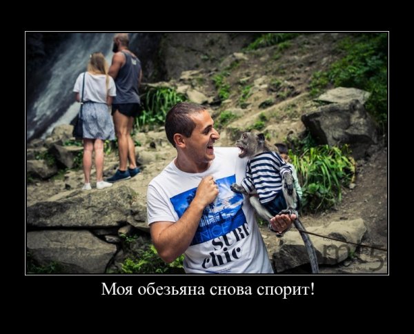 Нефть демотиваторы