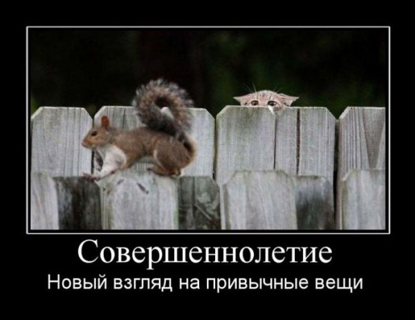 Демотиваторы смешные