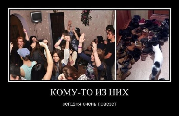 Мжм демотиваторы