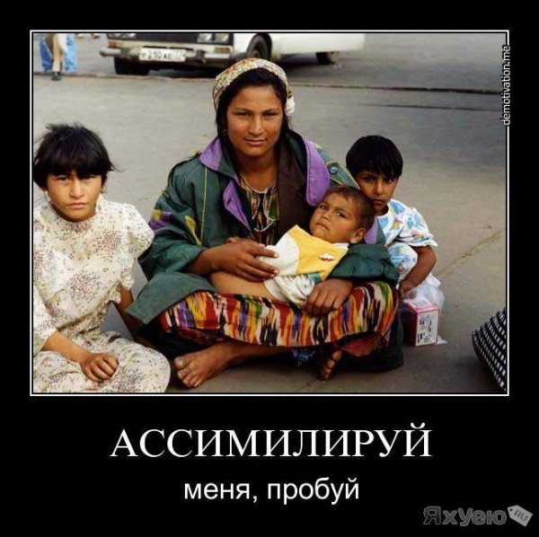 Цыганка демотиватор