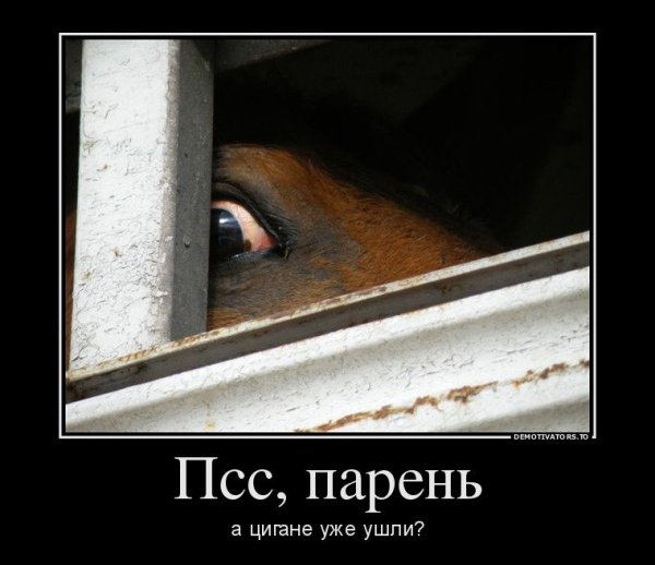 Демотиваторы про цыганей