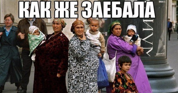 Цыгане прикол