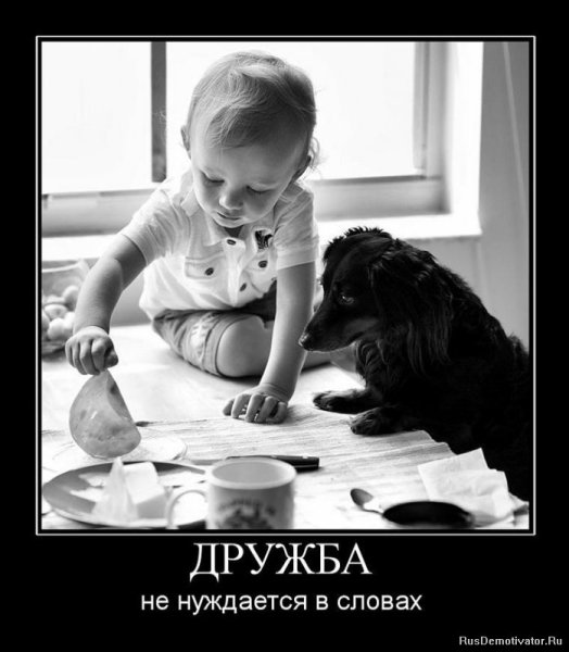 Приколы про дружбу