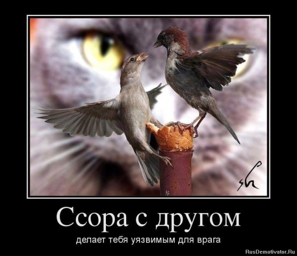 Ссора мотиватор