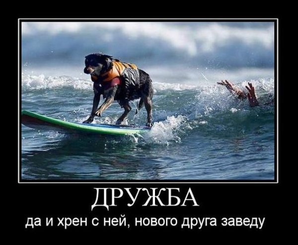 Дружба юмор