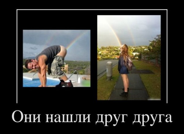 Они нашли друг друга прикол