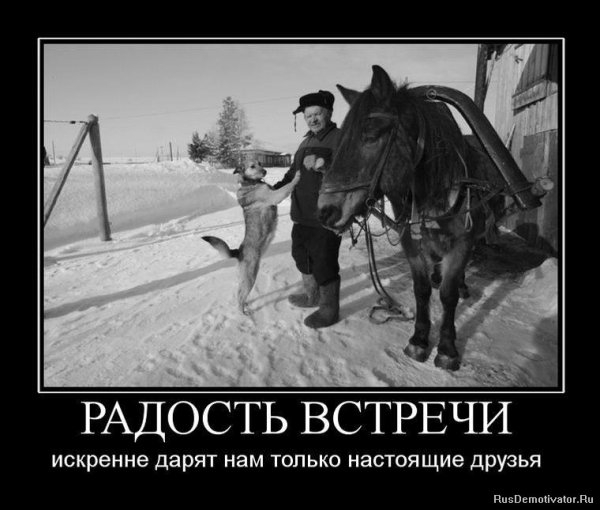 Демотиваторы про друзей смешные